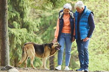 Retired couple walking their dog along a forest path