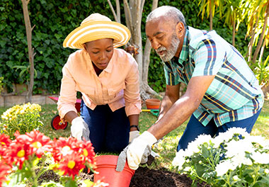 Retired couple enjoying gardening