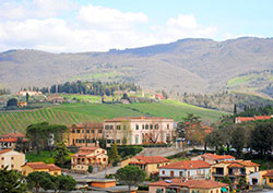 Vineyard in Chianti, Italy