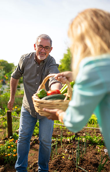 Man in vegetable garden handing basket to a woman