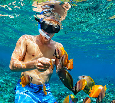 Man snorkeling feeding tropical fish