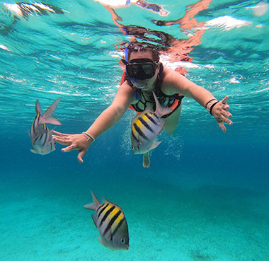 woman snorkeling with tropical fish