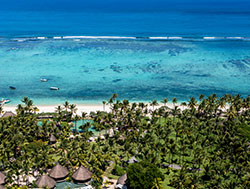 Mauritius aerial view of beach and palm trees