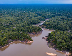 Amazon Rainforest