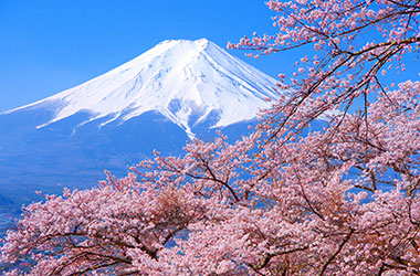Mt.Fuji