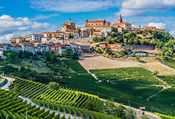 Beautiful view of vineyards in La Morra, Province of Cuneo, Piedmont, Italy